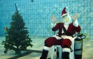 Le comité Départemental de natation de la Dordogne vous souhaite un Joyeux Noël et de bonnes fêtes de fin d'Année.