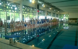 13 05 2017: NATATATION  SYNCHRO - Régionaux à Périgueux