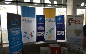 Résultats concaténés des 3 sites Championnat Régional 25 &amp; 26 11 2017