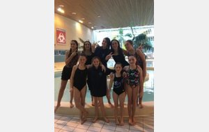 Natation Synchronisée. 3éme SynchroNat 14 Janvier 2018 à Bordeaux : Une très belle reprise pour les filles de l’ACAP !