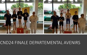 CND24 Classement Finale départementale du Natathlon Avenirs