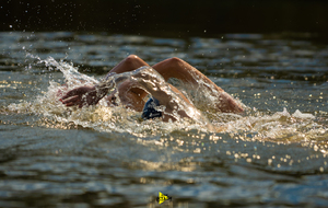 Interview : La Natation Estivale en Nouvelle Aquitaine