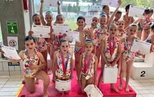 Championnat régional poussines, avenirs, séniors, adultes de natation artistique - 11 et 12 mai 2025 - Villenave d'Ornon