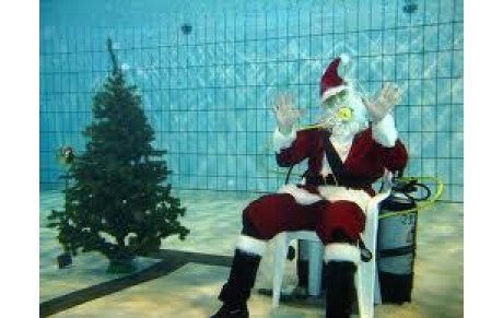 Le comité Départemental de natation de la Dordogne vous souhaite un Joyeux Noël et de bonnes fêtes de fin d'Année.