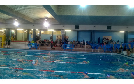 JOQUA 1 Poule Nord (24-33-47) à Bergerac le 29 Janvier 2017