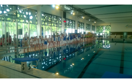 13 05 2017: NATATATION  SYNCHRO - Régionaux à Périgueux