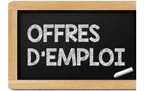 Offre d'emploi Noblat Aquatique Club